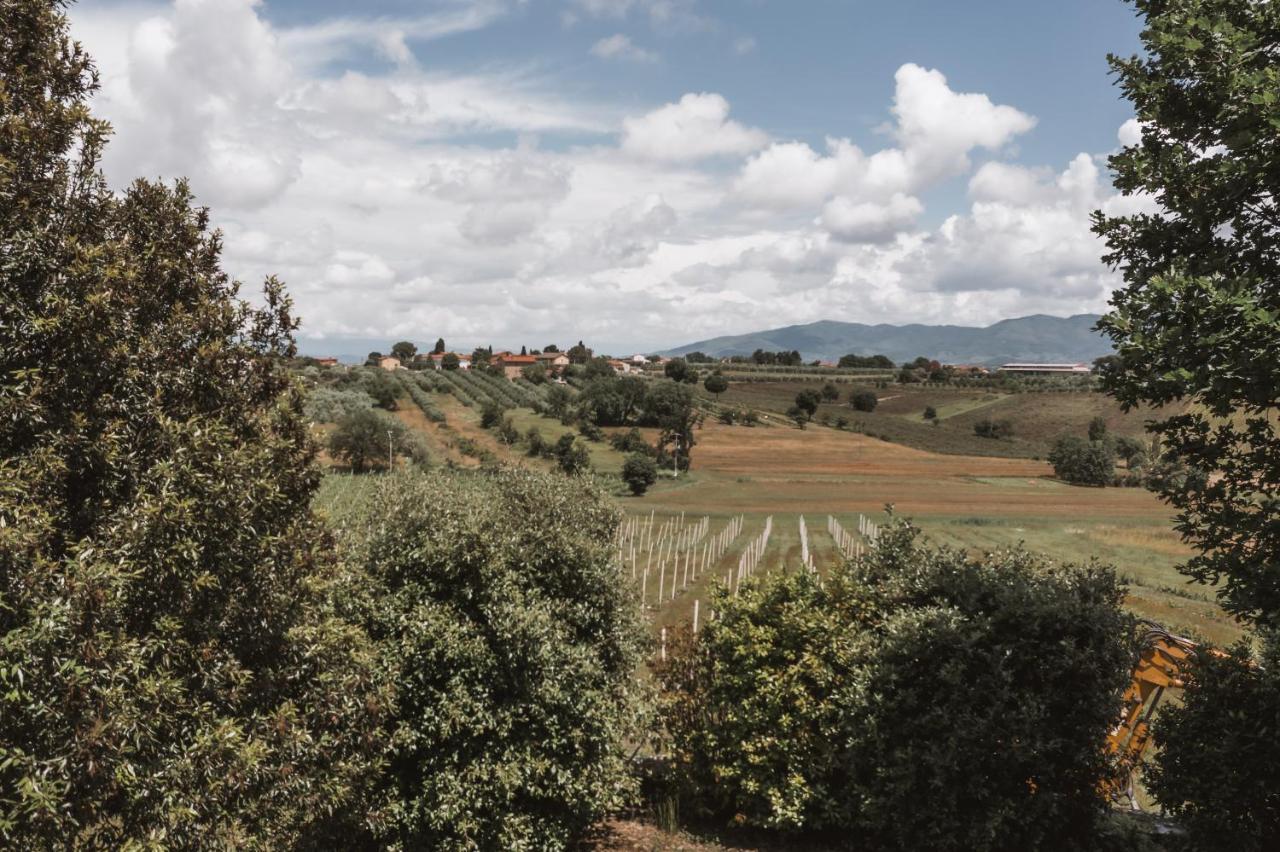 Agriturismo S.Angelo Foiano Della Chiana Zewnętrze zdjęcie